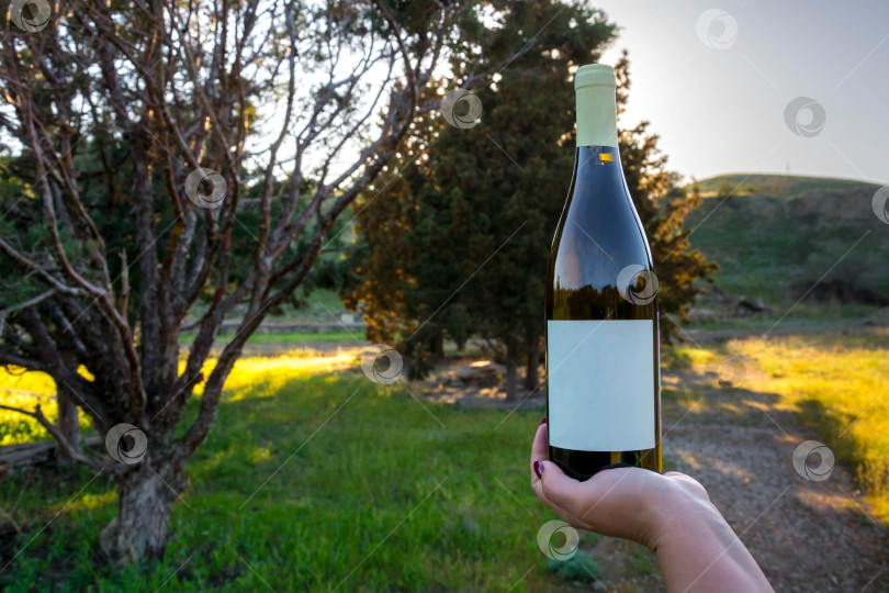 Скачать Вино в парке фотосток Ozero