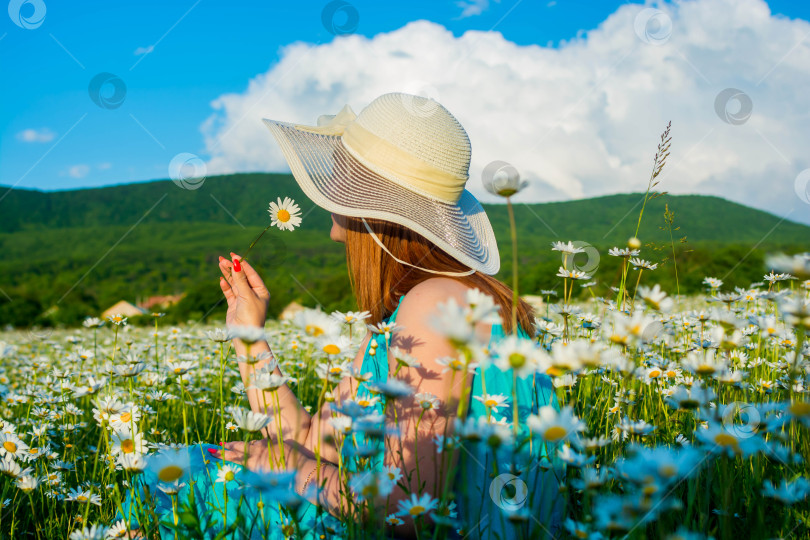 Скачать Девушка в маргаритках фотосток Ozero