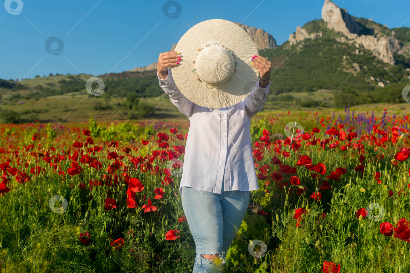Скачать Девушка на маковом поле фотосток Ozero