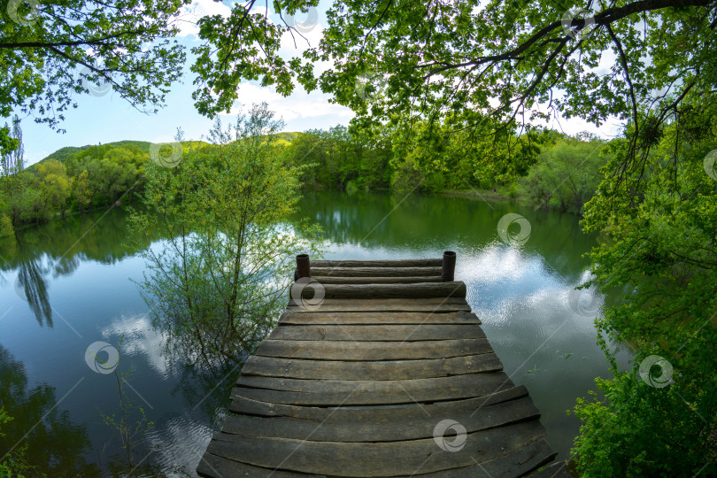 Скачать лесное озеро фотосток Ozero