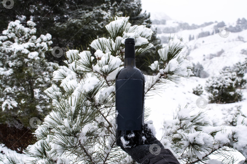 Скачать Вино в снегу фотосток Ozero