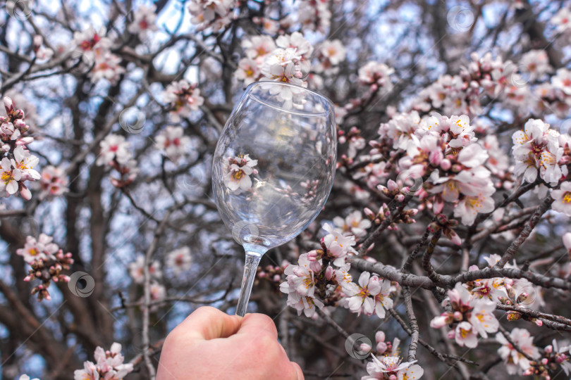 Скачать Бокал вина фотосток Ozero