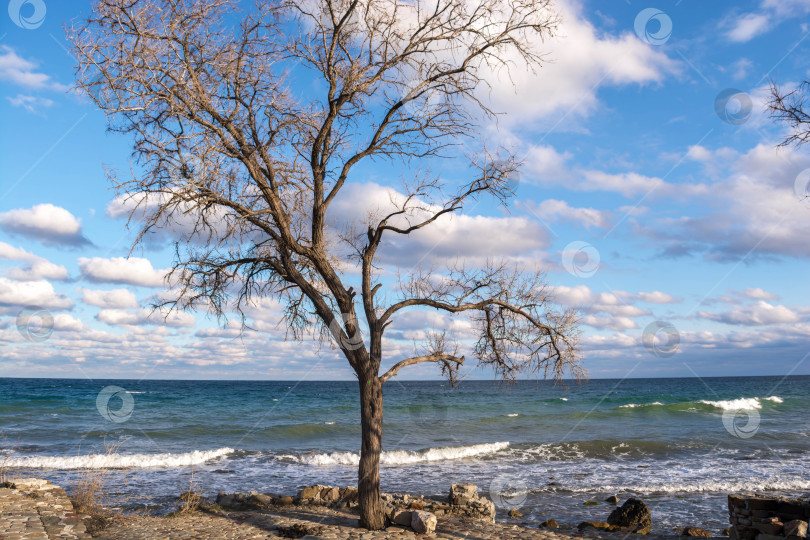 Скачать морское побережье фотосток Ozero