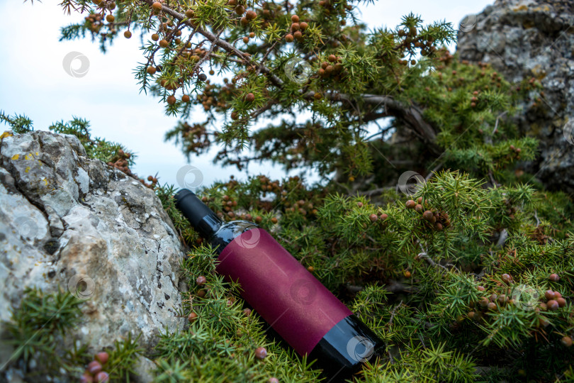 Скачать Бутылка вина на природе фотосток Ozero