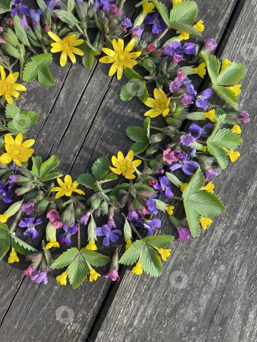 Скачать Часть мандалы из цветов фотосток Ozero