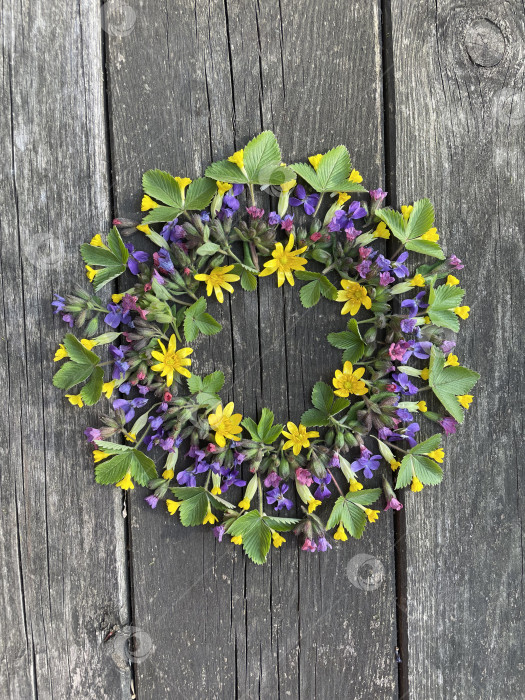 Скачать Мандала фотосток Ozero