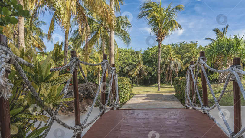 Скачать Пешеходная дорожка с веревочными перилами ведет прямо в парк. фотосток Ozero