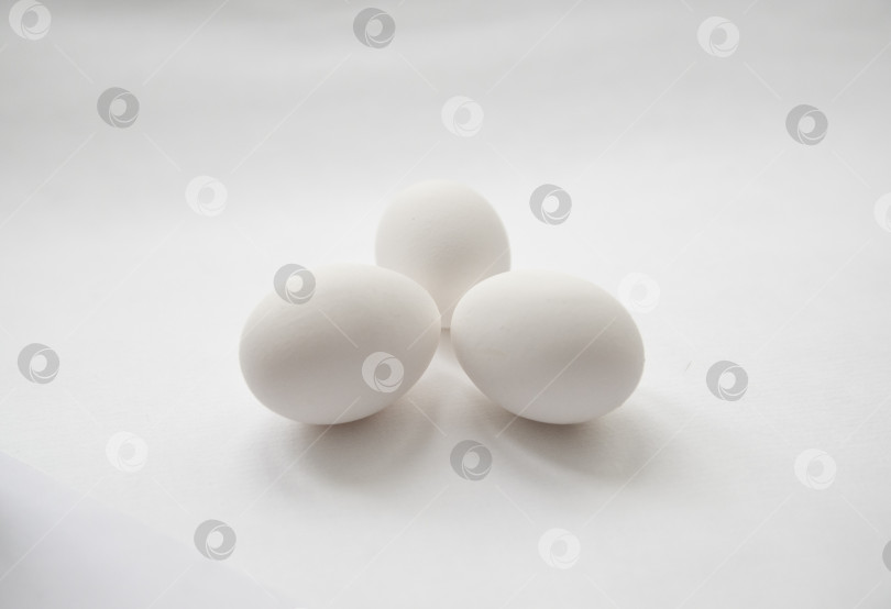Скачать куриные яйца в минималистичном стиле фотосток Ozero