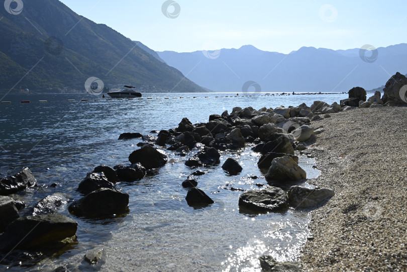 Скачать Каменистый берег Бока-Которской бухты в Черногории в лучах полуденного солнца, август 2024 года фотосток Ozero