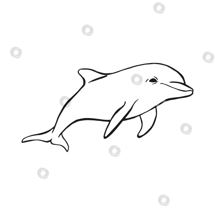 Скачать Дельфин. Рисованная иллюстрация, переведенная в векторную форму. Векторное изображение животного под водой. фотосток Ozero