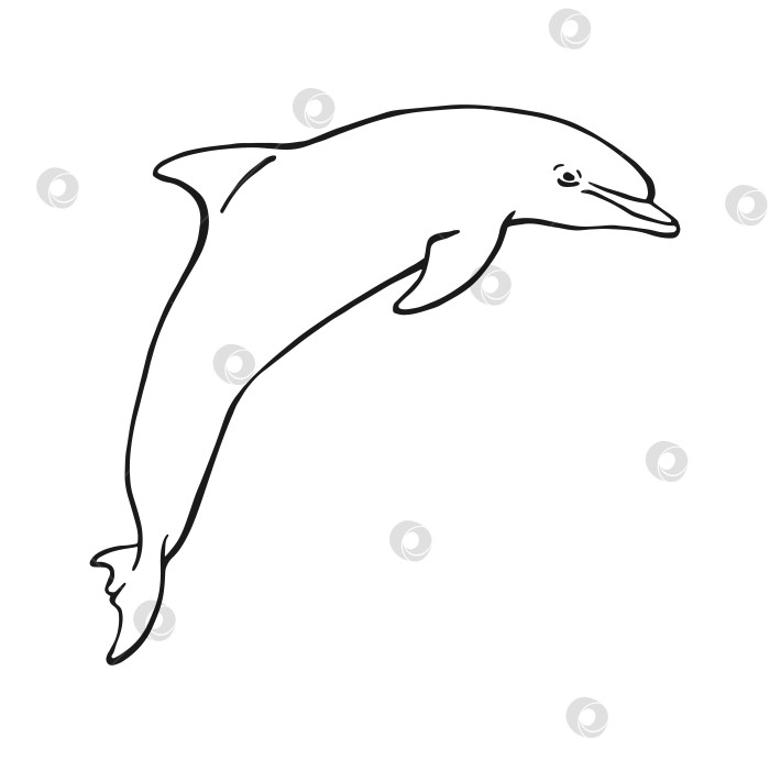 Скачать Нарисованный вручную дельфин. Векторная иллюстрация в стиле эскиза. Прыгающий дельфин, выделенный на белом фоне. фотосток Ozero