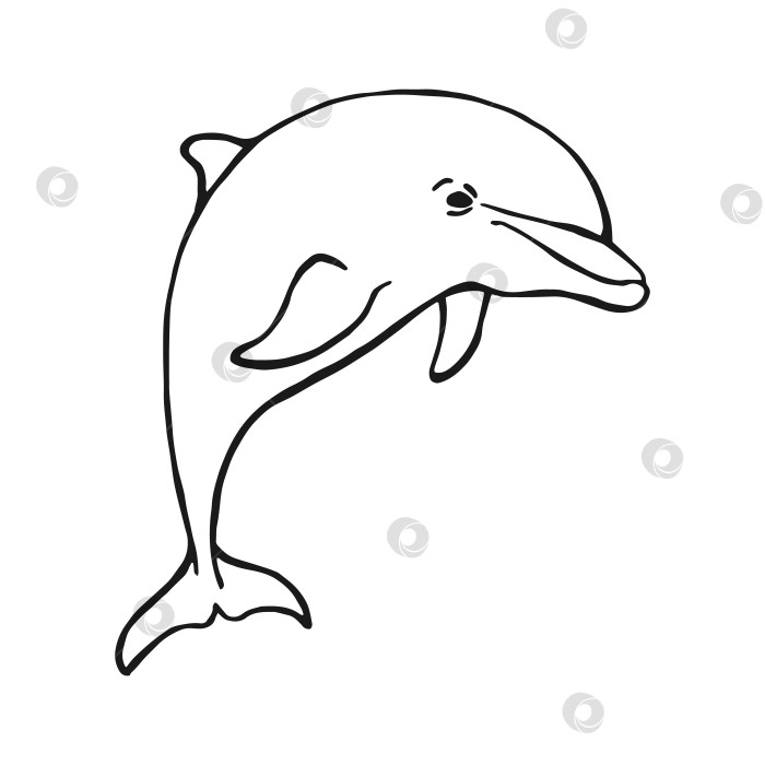 Скачать Нарисованный вручную дельфин. Векторная иллюстрация в стиле эскиза. Прыгающий дельфин, выделенный на белом фоне. фотосток Ozero