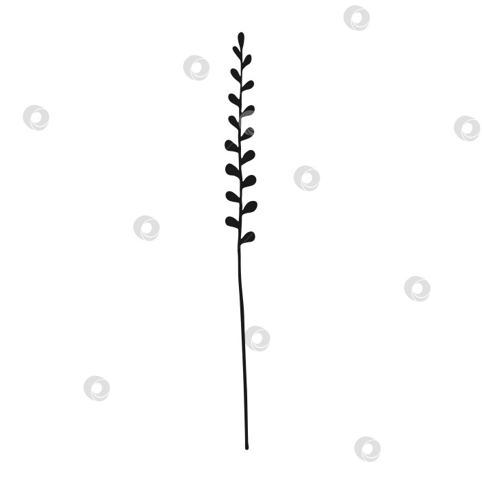 Скачать Полевые цветы. Цветочные элементы, нарисованные от руки. Векторная иллюстрация. фотосток Ozero