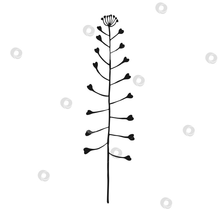 Скачать Полевые цветы. Цветочные элементы, нарисованные от руки. Векторная иллюстрация. фотосток Ozero