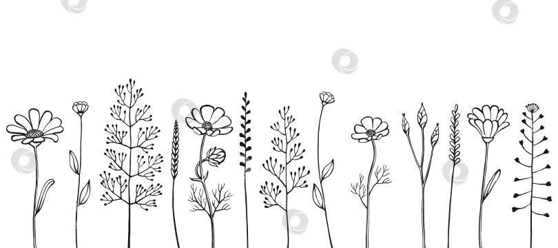 Скачать Цветочная рамка из трав и полевых цветов.  Цветочные элементы, нарисованные вручную. Векторная иллюстрация фотосток Ozero