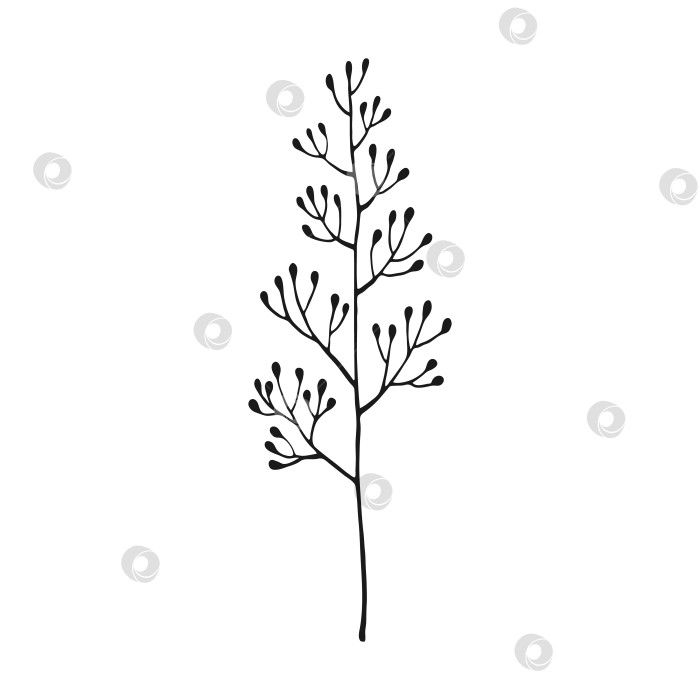 Скачать Полевые цветы. Цветочные элементы, нарисованные от руки. Векторная иллюстрация. фотосток Ozero