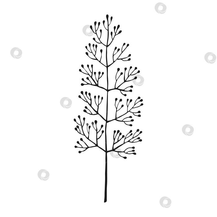 Скачать Полевые цветы. Цветочные элементы, нарисованные от руки. Векторная иллюстрация. фотосток Ozero