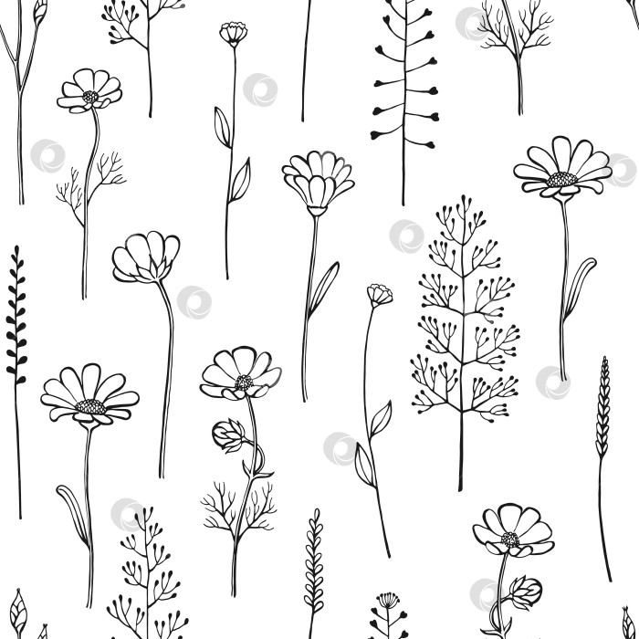 Скачать Бесшовный узор с полевыми цветами. Цветочные элементы, нарисованные вручную. Векторная иллюстрация. фотосток Ozero