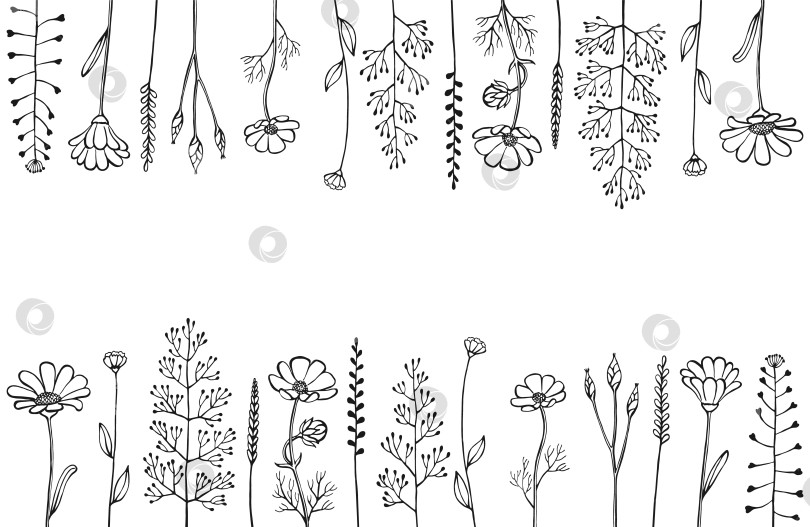 Скачать Цветочная рамка из трав и полевых цветов.  Цветочные элементы, нарисованные вручную. Векторная иллюстрация фотосток Ozero