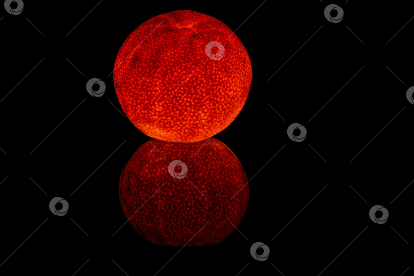 Скачать Мандарин фотосток Ozero