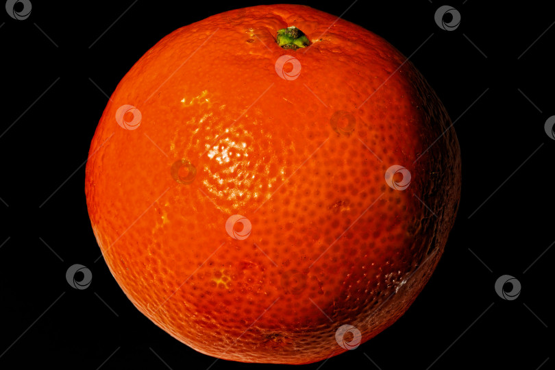 Скачать Мандарин фотосток Ozero