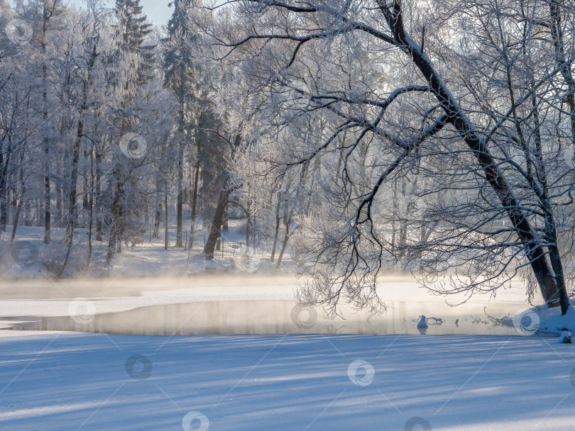 Скачать Главным объектом этого изображения является заснеженное дерево фотосток Ozero