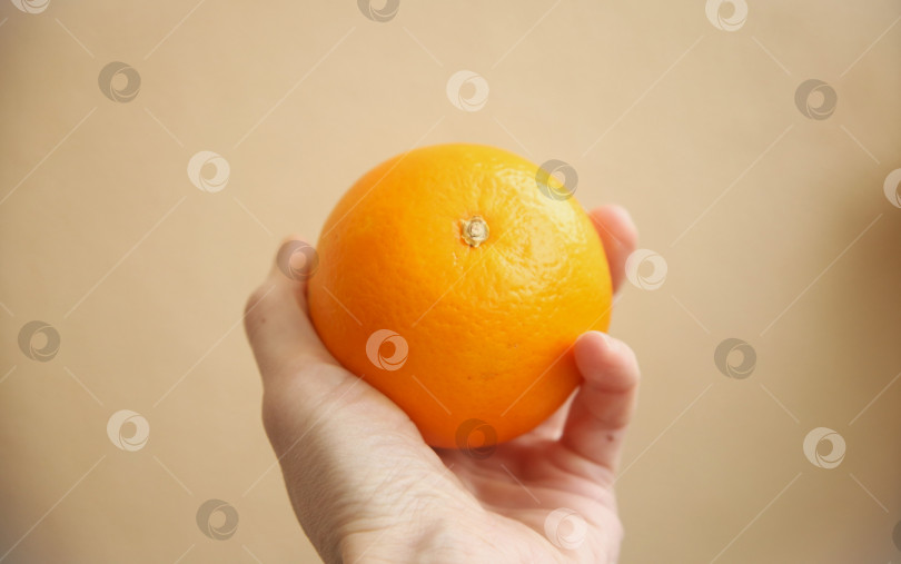 Скачать Фрукт апельсин в женской руке фотосток Ozero
