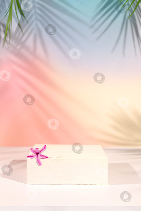 Скачать Пустой подиум для демонстрации косметики на элегантном, солнечном, красочном баннере на фоне длинных теней от пальмовых листьев. Идеальный шаблон для вашей творческой работы, концепция летней вечеринки фотосток Ozero