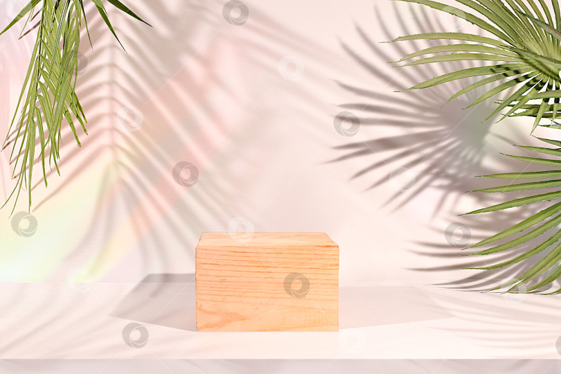 Скачать Пустой березовый подиум для демонстрации косметики на элегантном, солнечном, красочном баннере на фоне длинных теней от пальмовых листьев. Идеальный шаблон для вашей творческой работы, концепция летней вечеринки фотосток Ozero