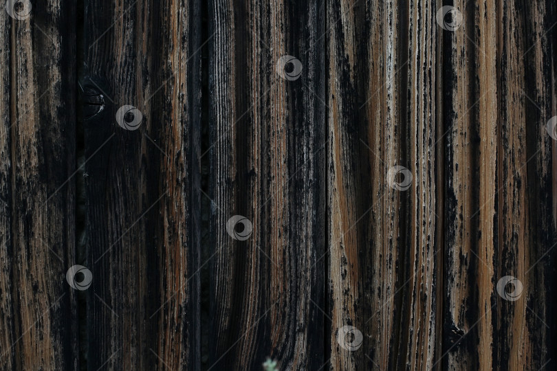 Скачать дизайн фона с текстурой темного дерева. старые деревянные доски темного цвета. фотосток Ozero