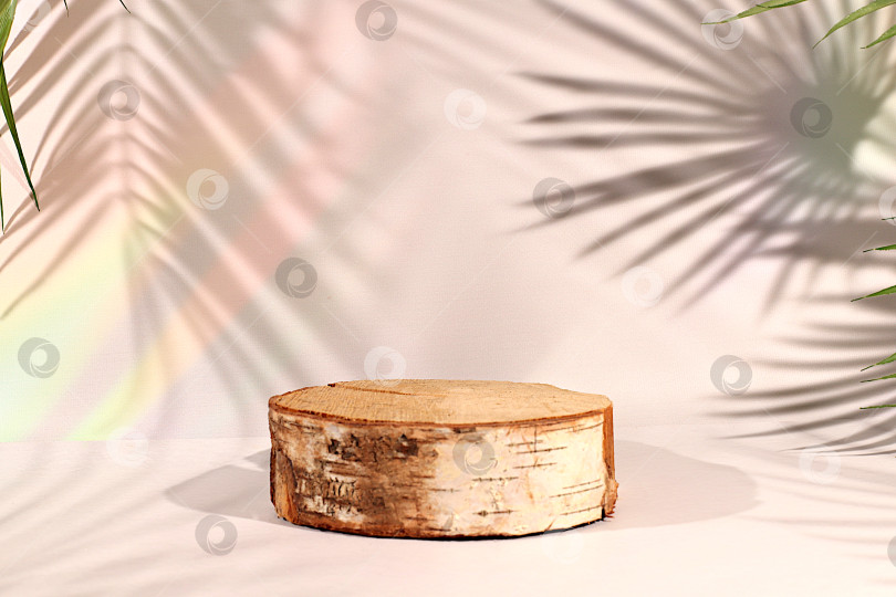 Скачать Пустой березовый подиум для демонстрации косметики на элегантном, солнечном, красочном баннере на фоне длинных теней от пальмовых листьев. Идеальный шаблон для вашей творческой работы, концепция летней вечеринки фотосток Ozero