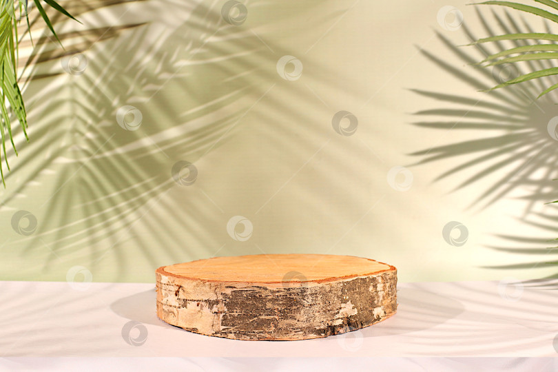 Скачать Пустой березовый подиум для демонстрации косметики на элегантном, солнечном, красочном баннере на фоне длинных теней от пальмовых листьев. Идеальный шаблон для вашей творческой работы, концепция летней вечеринки фотосток Ozero