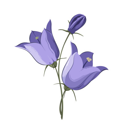 [object Object] undefined