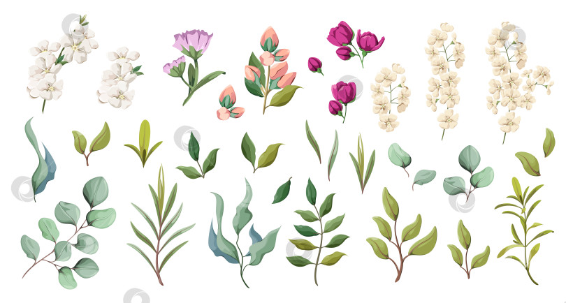 Скачать Набор из цветов, листьев и веточек фотосток Ozero