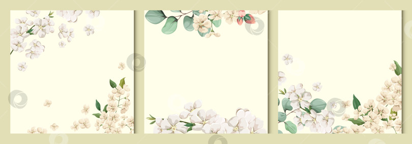 Скачать Набор фонов с цветами фотосток Ozero