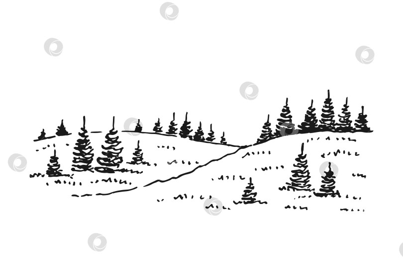 Скачать Эскиз дикой природы с лесом. Рисованная иллюстрация, преобразованная в векторную форму. фотосток Ozero