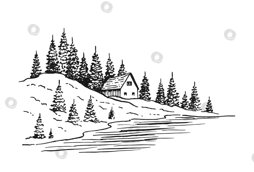 Скачать Пейзаж с соснами и загородным домом. Рисованная иллюстрация, преобразованная в векторную форму. фотосток Ozero