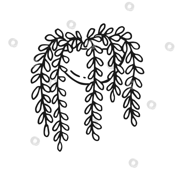 Скачать Комнатное растение. Векторная иллюстрация, нарисованная от руки. фотосток Ozero