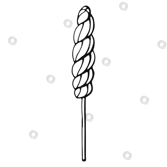 Скачать Леденец на палочке. Элементы сладкого рисунка, нарисованные от руки. Векторная иллюстрация на белом фоне. фотосток Ozero