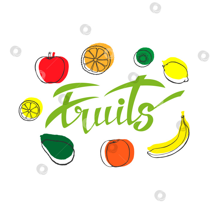 Скачать Векторный фон со здоровой пищей. Плакат или баннер с нарисованными от руки фруктами и надписью fruits. фотосток Ozero