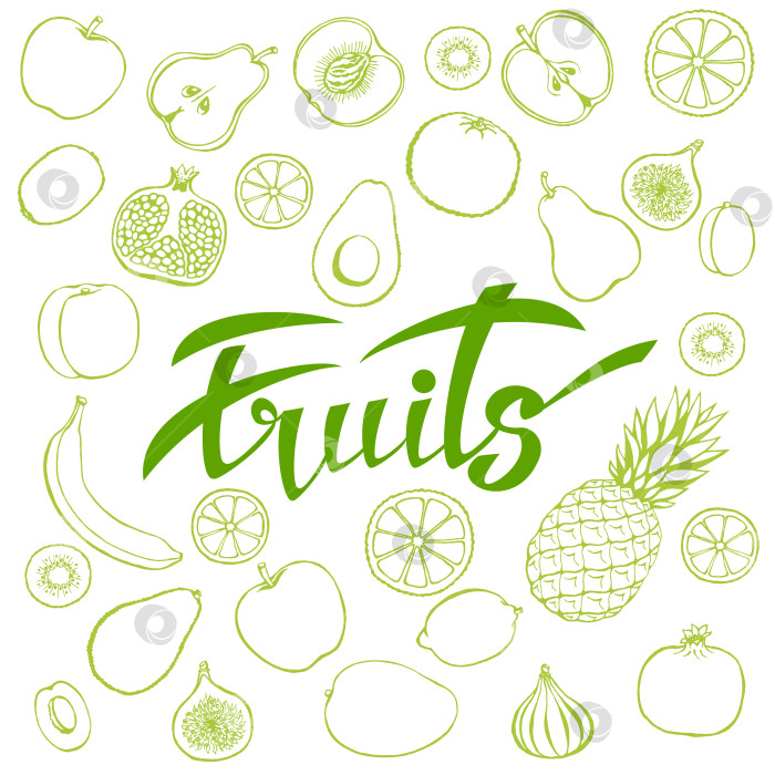 Скачать Векторный фон со здоровой пищей. Плакат или баннер с фруктами ручной работы и надписью fruits. фотосток Ozero