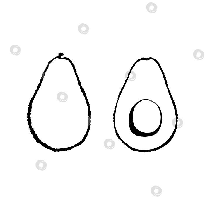 Скачать Векторный рисунок авокадо, фрукты. Декоративная коллекция фермерских продуктов в стиле ретро, меню ресторана, рыночная этикетка. фотосток Ozero