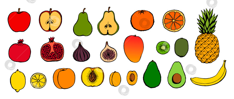 Скачать Набор векторных рисованных значков фруктов. Декоративная коллекция в стиле ретро, меню ресторана с фермерскими продуктами, рыночная этикетка. фотосток Ozero