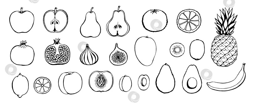 Скачать Набор векторных рисованных значков фруктов. Декоративная коллекция в стиле ретро, меню ресторана с фермерскими продуктами, рыночная этикетка. фотосток Ozero