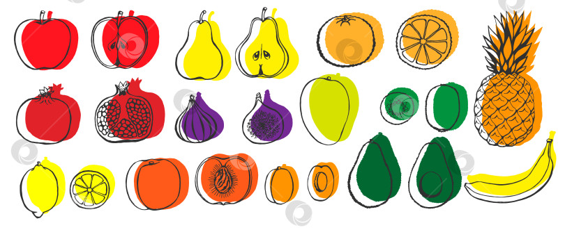Скачать Набор векторных рисованных значков фруктов. Декоративная коллекция в стиле ретро, меню ресторана с фермерскими продуктами, рыночная этикетка. фотосток Ozero