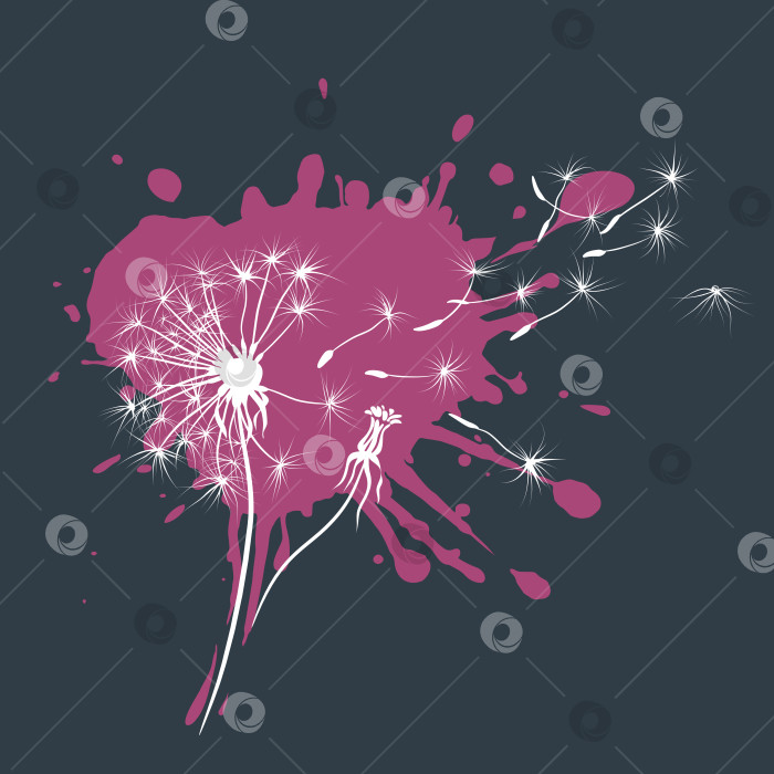 Скачать Одуванчик на фоне брусничного гранжа фотосток Ozero