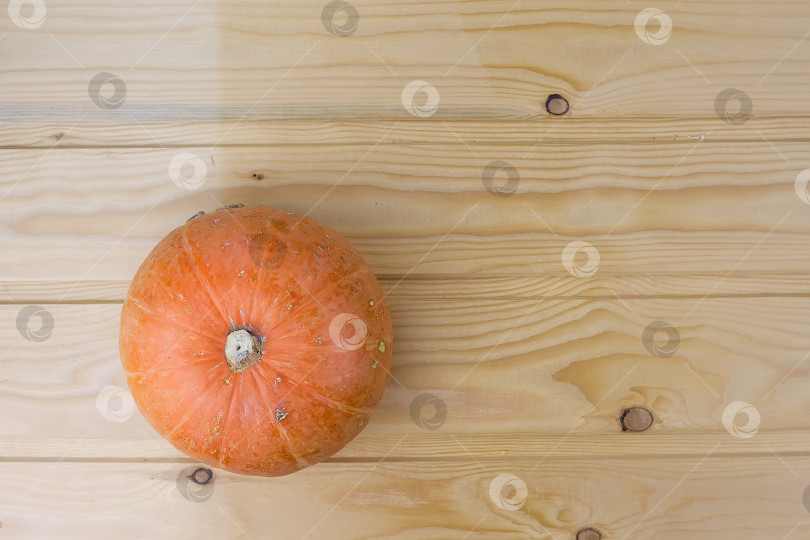 Скачать Оранжевые тыквы на Хэллоуин на белых досках, праздничное украшение. фотосток Ozero