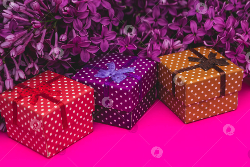 Скачать Сирень и подарки фотосток Ozero