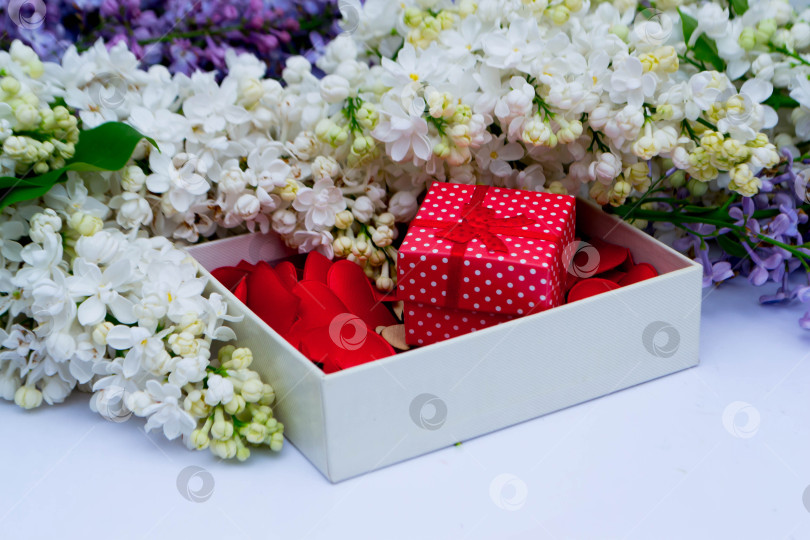 Скачать Сирень и подарки фотосток Ozero