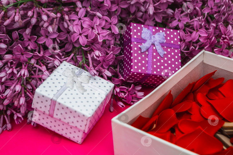 Скачать Сирень и подарки фотосток Ozero